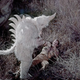 Image for article titled Rare Star Trek photos show green Orion slavegirls like you've never seen them